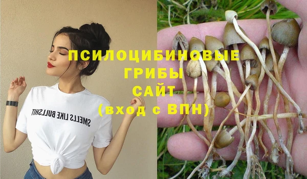 МДПВ Зерноград