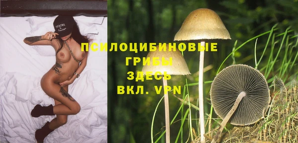 стафф Зеленодольск